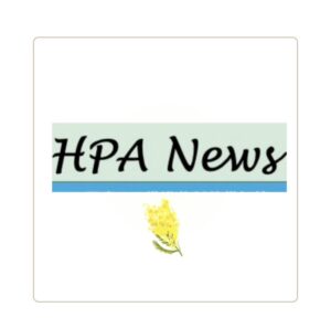 博多区ニュース　臨時号⭐︎