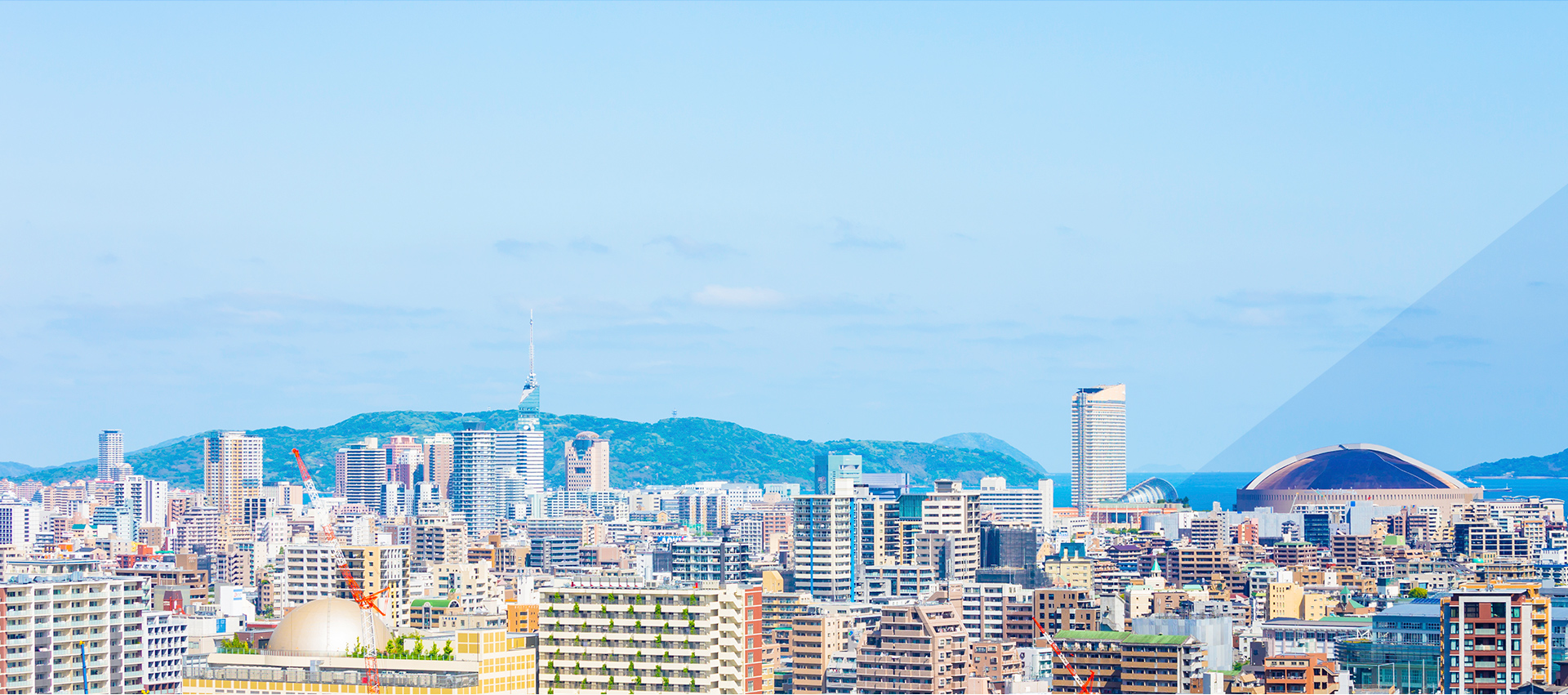 一般社団法人 福岡市薬剤師会